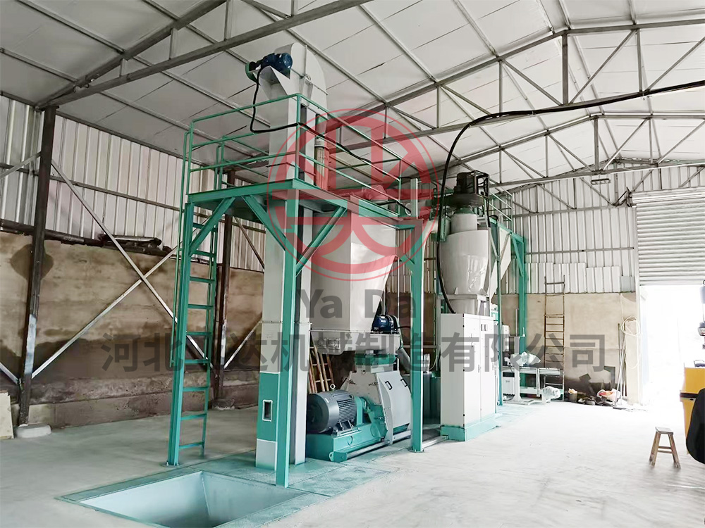 ���ɹ����ֹ����� ʱ��10�������������